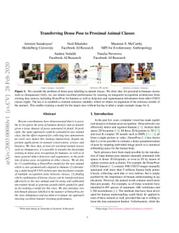 Transferring Dense Pose to Proximal Animal Classes