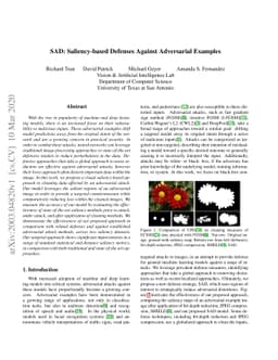 SAD: Saliency-based Defenses Against Adversarial Examples