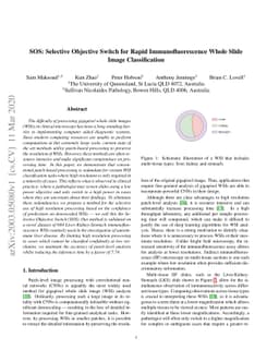 SOS: Selective Objective Switch for Rapid Immunofluorescence Whole Slide
  Image Classification