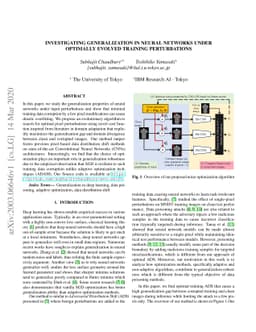 Investigating Generalization in Neural Networks under Optimally Evolved
  Training Perturbations