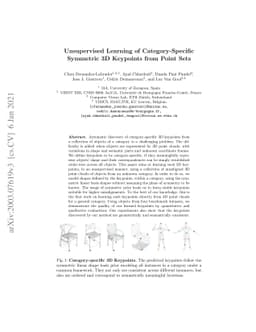 Unsupervised Learning of Category-Specific Symmetric 3D Keypoints from
  Point Sets