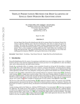Triplet Permutation Method for Deep Learning of Single-Shot Person
  Re-Identification