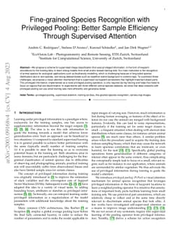 Fine-grained Species Recognition with Privileged Pooling: Better Sample
  Efficiency Through Supervised Attention