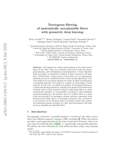 Tractogram filtering of anatomically non-plausible fibers with geometric
  deep learning