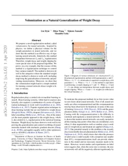 Volumization as a Natural Generalization of Weight Decay