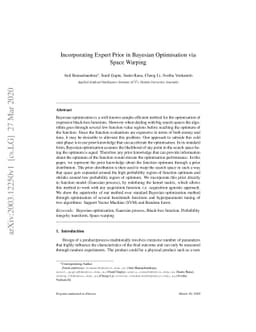 Incorporating Expert Prior in Bayesian Optimisation via Space Warping