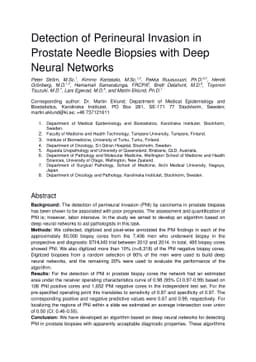 Detection of Perineural Invasion in Prostate Needle Biopsies with Deep
  Neural Networks