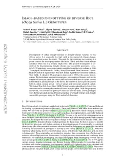 Image-based phenotyping of diverse Rice (Oryza Sativa L.) Genotypes