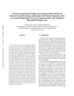 Semantic Segmentation of highly class imbalanced fully labelled 3D
  volumetric biomedical images and unsupervised Domain Adaptation of the
  pre-trained Segmentation Network to segment another fully unlabelled
  Biomedical 3D Image stack