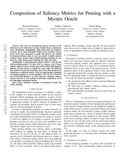 Composition of Saliency Metrics for Channel Pruning with a Myopic Oracle