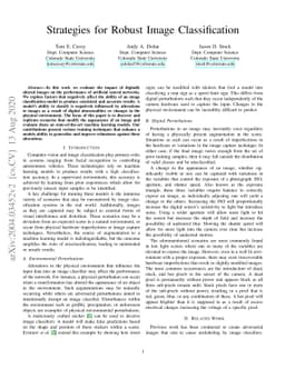 Strategies for Robust Image Classification