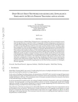 Deep Multi-Shot Network for modelling Appearance Similarity in
  Multi-Person Tracking applications