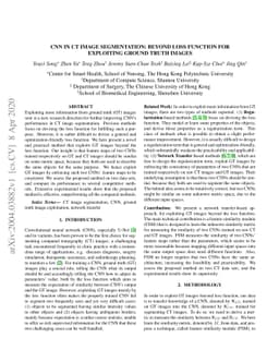 CNN in CT Image Segmentation: Beyound Loss Function for Expoliting
  Ground Truth Images