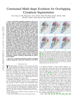 Constrained Multi-shape Evolution for Overlapping Cytoplasm Segmentation