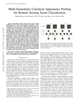 Multi-Granularity Canonical Appearance Pooling for Remote Sensing Scene
  Classification