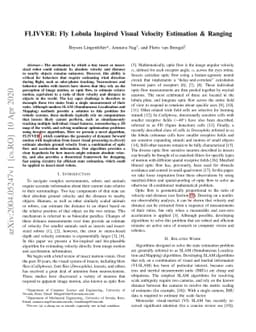 FLIVVER: Fly Lobula Inspired Visual Velocity Estimation & Ranging