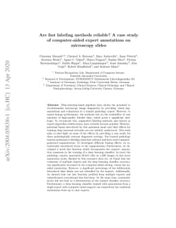 Are fast labeling methods reliable? A case study of computer-aided
  expert annotations on microscopy slides