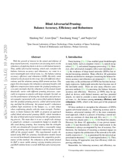 Blind Adversarial Pruning: Balance Accuracy, Efficiency and Robustness