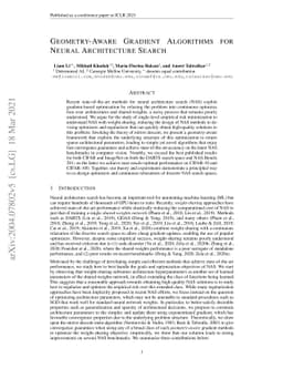 Geometry-Aware Gradient Algorithms for Neural Architecture Search