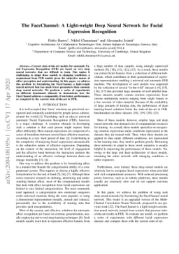 The FaceChannel: A Light-weight Deep Neural Network for Facial
  Expression Recognition