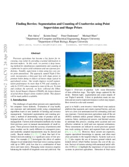 Finding Berries: Segmentation and Counting of Cranberries using Point
  Supervision and Shape Priors