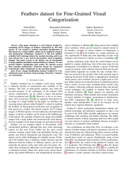 Feathers dataset for Fine-Grained Visual Categorization