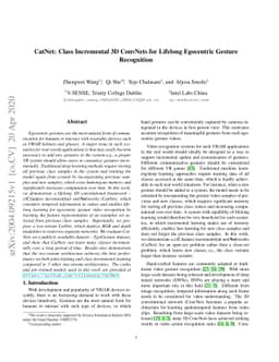 CatNet: Class Incremental 3D ConvNets for Lifelong Egocentric Gesture
  Recognition