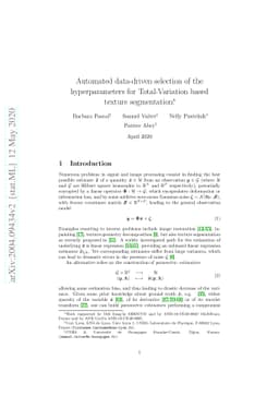 Automated data-driven selection of the hyperparameters for
  Total-Variation based texture segmentation