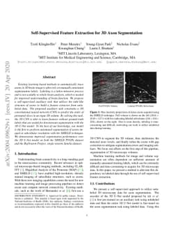 Self-Supervised Feature Extraction for 3D Axon Segmentation