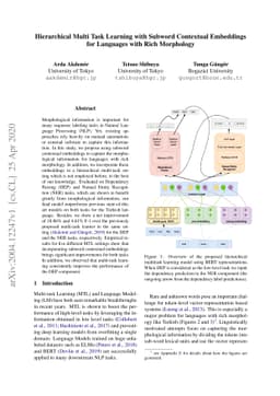 Hierarchical Multi Task Learning with Subword Contextual Embeddings for
  Languages with Rich Morphology