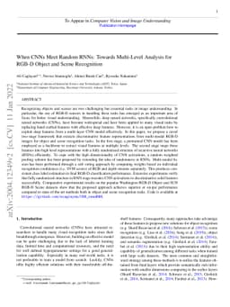 When CNNs Meet Random RNNs: Towards Multi-Level Analysis for RGB-D
  Object and Scene Recognition