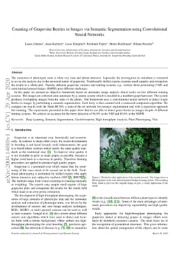 Counting of Grapevine Berries in Images via Semantic Segmentation using
  Convolutional Neural Networks