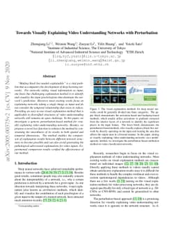 Towards Visually Explaining Video Understanding Networks with
  Perturbation