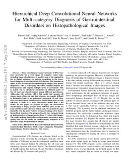 Hierarchical Deep Convolutional Neural Networks for Multi-category
  Diagnosis of Gastrointestinal Disorders on Histopathological Images