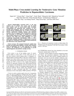 Multi-Phase Cross-modal Learning for Noninvasive Gene Mutation
  Prediction in Hepatocellular Carcinoma