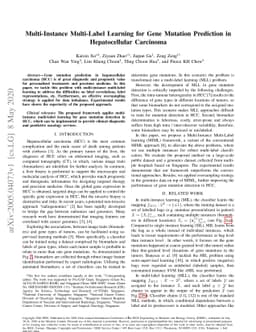 Multi-Instance Multi-Label Learning for Gene Mutation Prediction in
  Hepatocellular Carcinoma