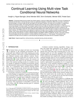 Continual Learning Using Multi-view Task Conditional Neural Networks