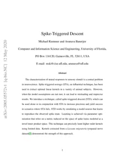 Spike-Triggered Descent
