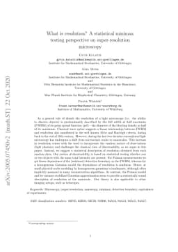 What is resolution? A statistical minimax testing perspective on
  super-resolution microscopy