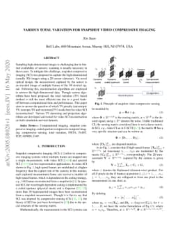 Various Total Variation for Snapshot Video Compressive Imaging