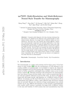 mr2NST: Multi-Resolution and Multi-Reference Neural Style Transfer for
  Mammography