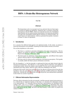 BHN: A Brain-like Heterogeneous Network