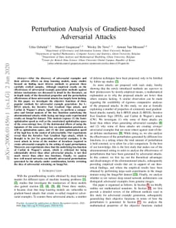 Perturbation Analysis of Gradient-based Adversarial Attacks