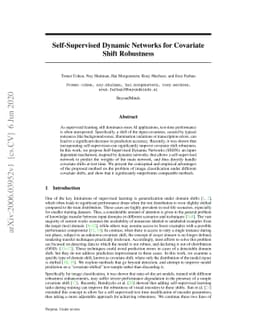 Self-Supervised Dynamic Networks for Covariate Shift Robustness
