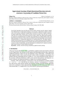 Approximate learning of high dimensional Bayesian network structures via
  pruning of Candidate Parent Sets