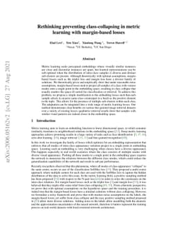 Rethinking preventing class-collapsing in metric learning with
  margin-based losses