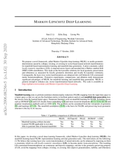 Markov-Lipschitz Deep Learning