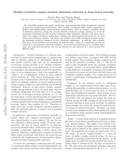 Weakly-correlated synapses promote dimension reduction in deep neural
  networks