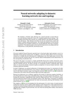 Neural networks adapting to datasets: learning network size and topology