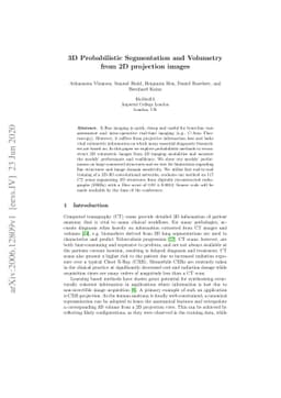 3D Probabilistic Segmentation and Volumetry from 2D projection images